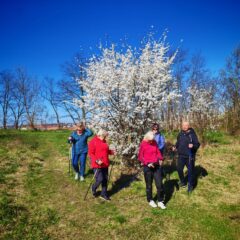 Warsztaty „Ruch, opowieść, wspólnota”