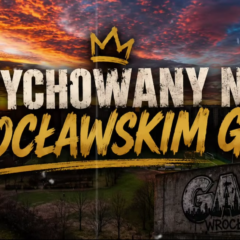 Wychowany na Wrocławskim Gaju – piosenka już dostępna na Youtube !